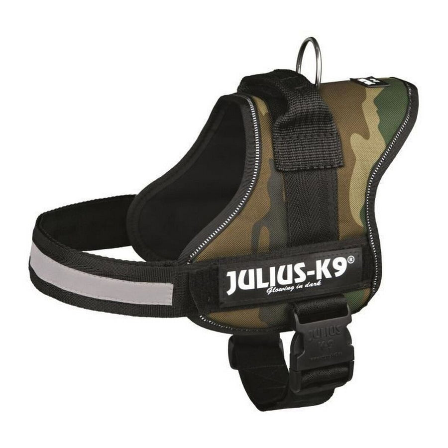 V2H06495386FC9A2CE107D079691AB5E1A3R7526452P1