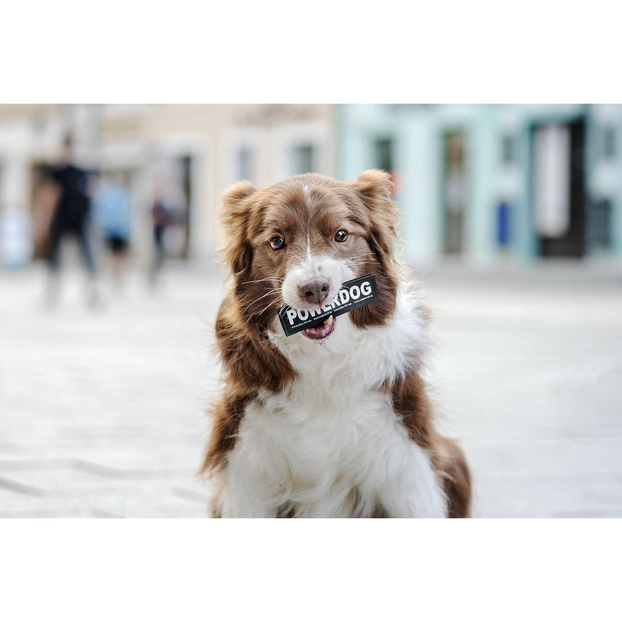 V3H9EC1791F18409A5E27604DD14512BED6R5592574P3