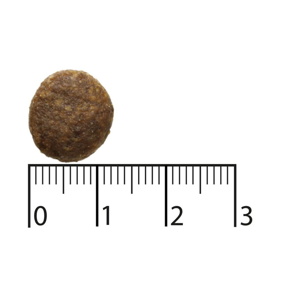 V3H110B91C645D8907172C70E68CD5DA9E7R5841587P4