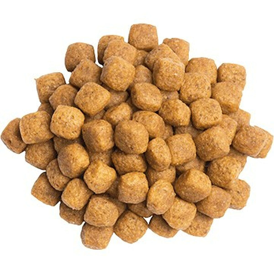 V4H0AE6B0F3906F3A6012F84F1B9304DCA3R4947237P2