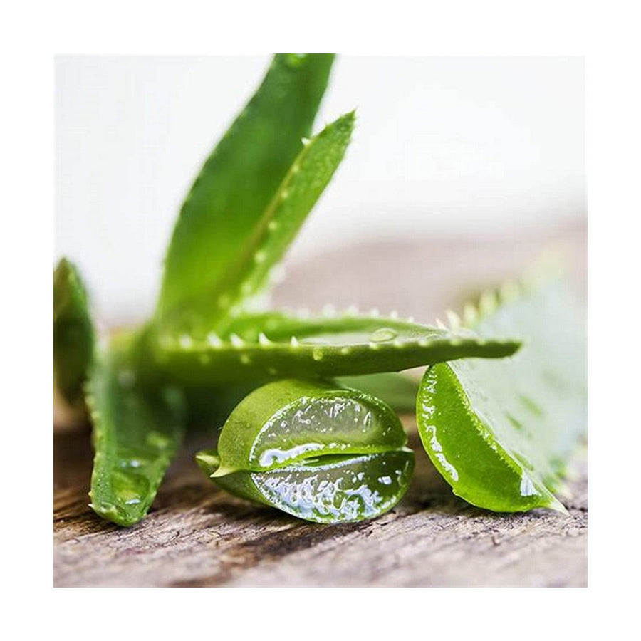 V10H7CAA8EA389595A76F0D6C57CA85AD10DR4219816P2