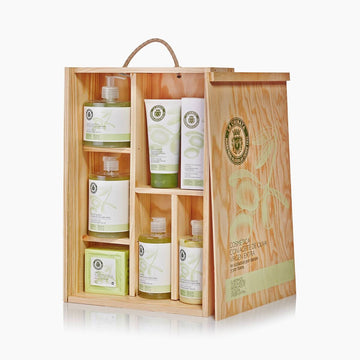 V1H49057E230C8A2DDB51DD670B465B84A6RP1