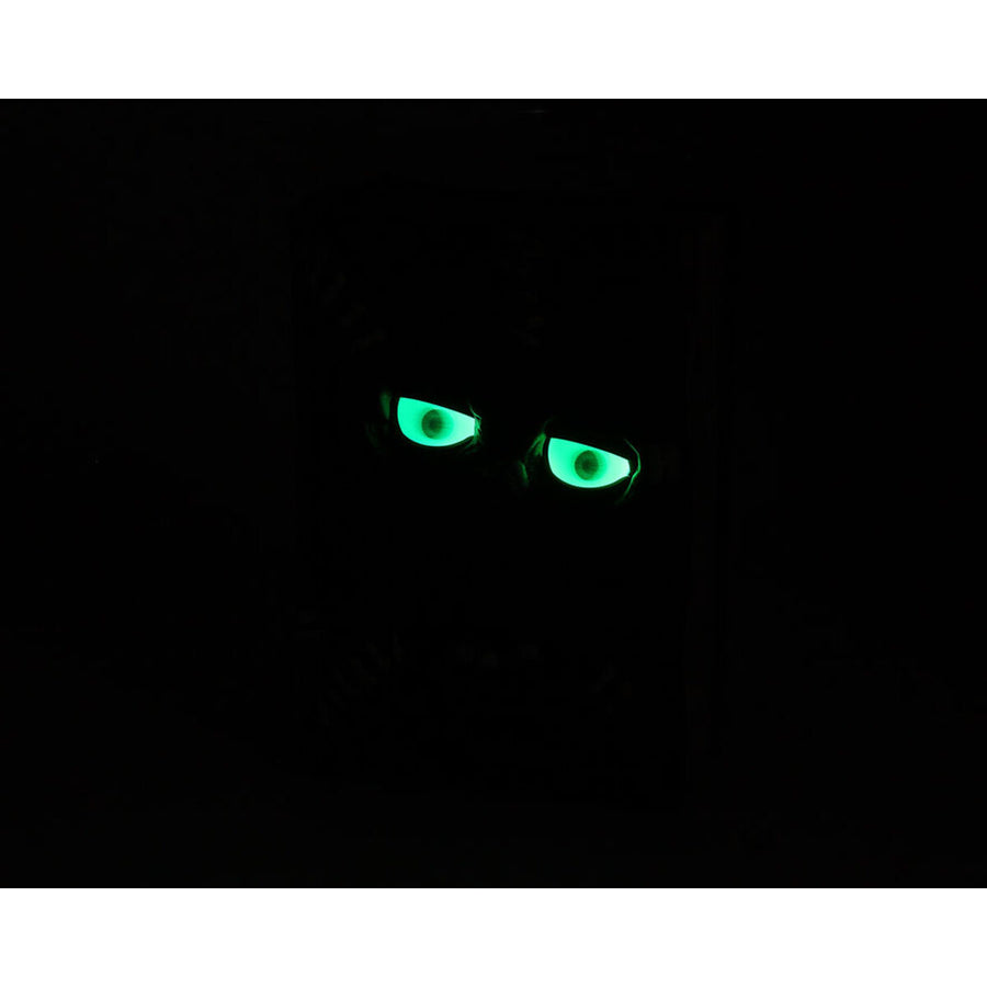 V2H29C6E02A3190543BF00EA48F6CA3F63CR7058322P3