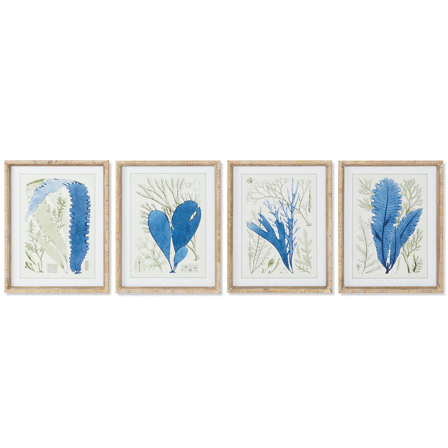 V8H6D04E03E907801B6A954EC90B27D37EAR6372581P1