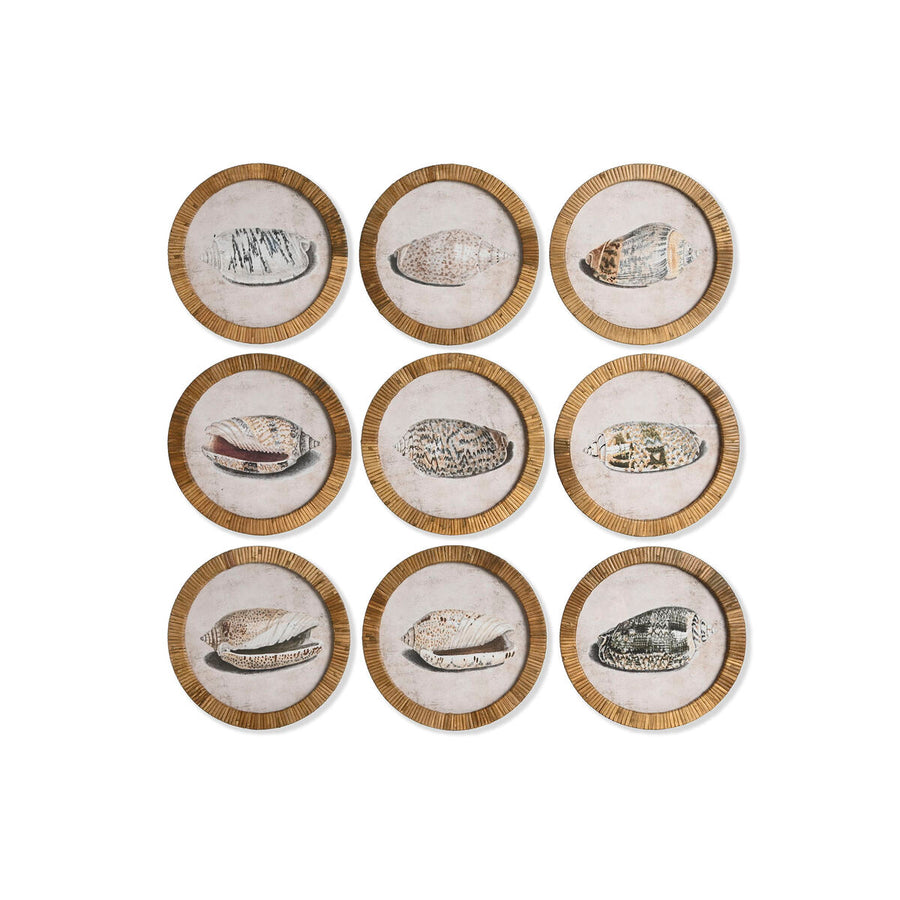 V2H73ADE1F988C38EE2289F1A1903A31F50R7422546P4