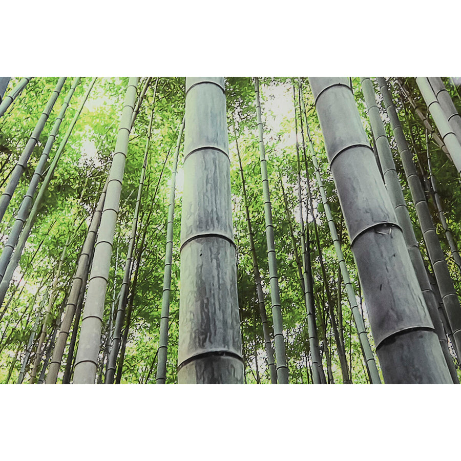 V5H8DFEE6D2C125F126D2F6B9B79C3C8A6BR6373240P3