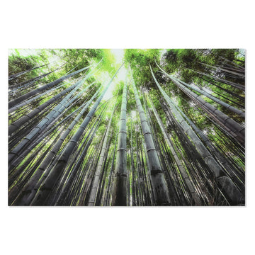 V5HE3A1B56DB1336861D394C81D714474F7R6373237P1