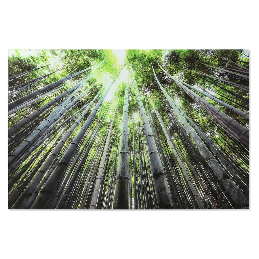 V5HE3A1B56DB1336861D394C81D714474F7R6373237P1