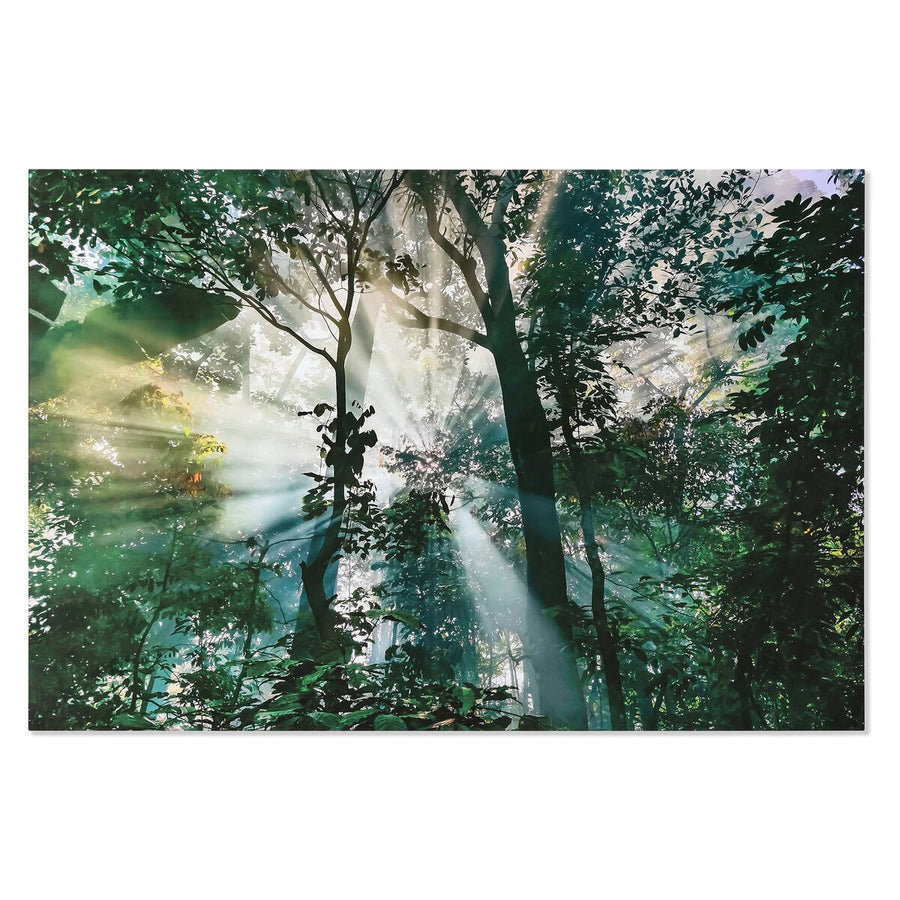 V5HBD14B40FBA0F91980D1ED2F4D3A49DC5R6373186P1