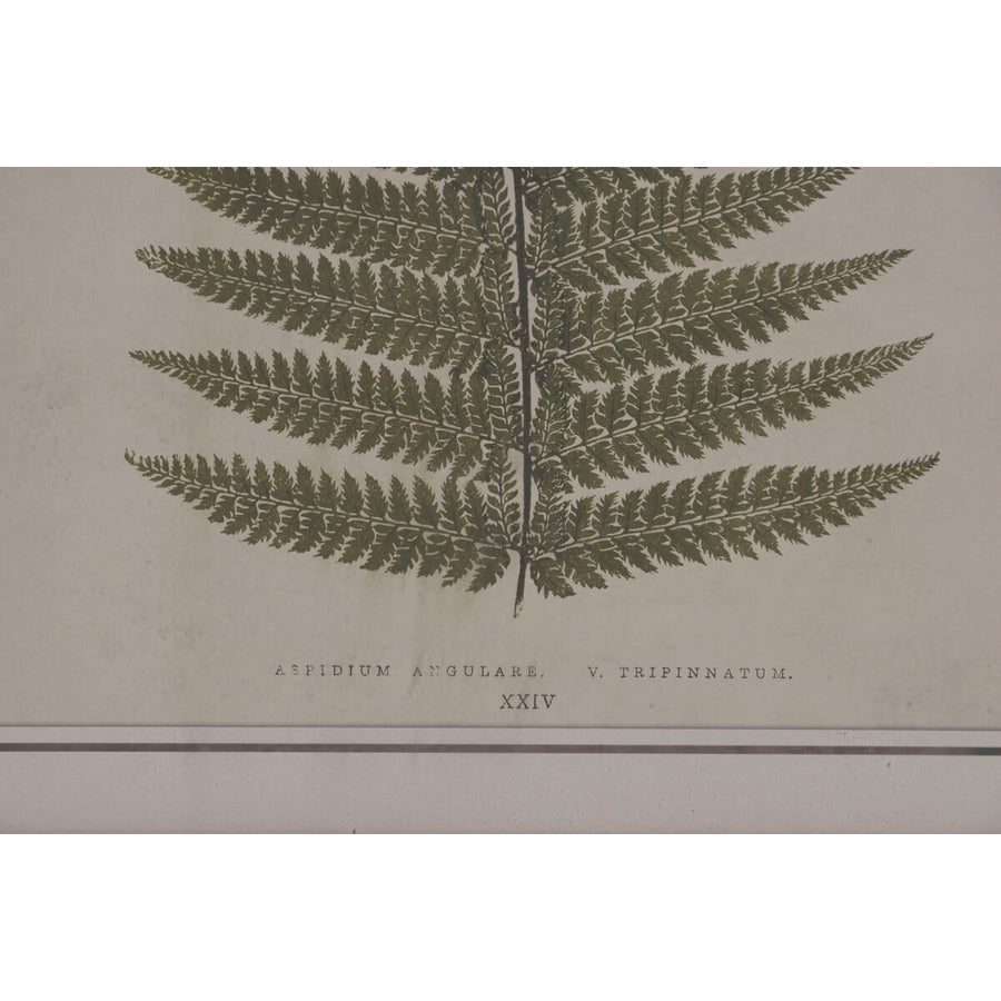 V2HB84321E047DE7247B804F1C421077A59R7429297P3