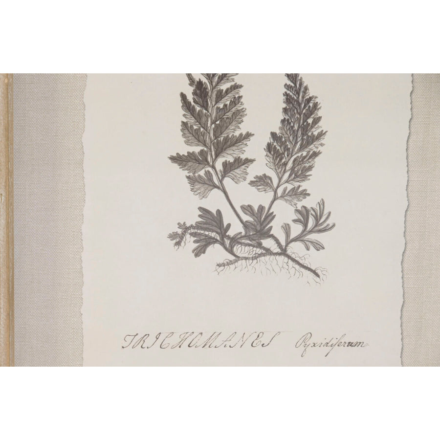 V2HD50A711DD2AF01BEE72040435CFD4CE6R7430172P3