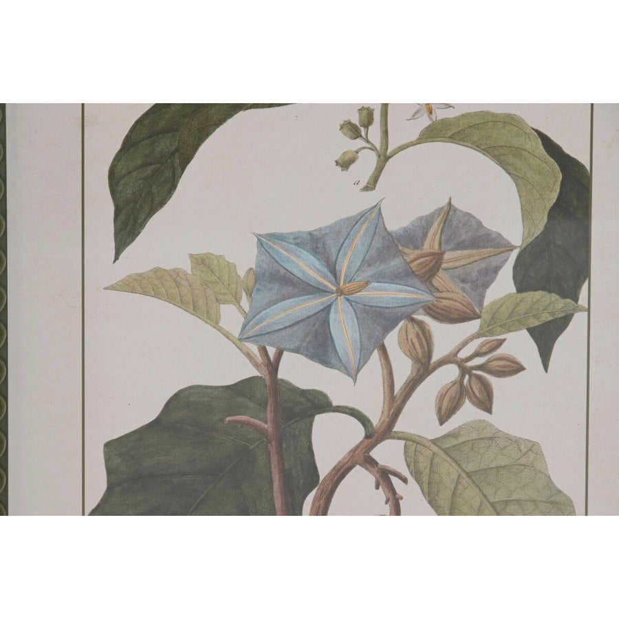 V2H6A1B301614B01879EA22F7B9EC585084R7429467P3