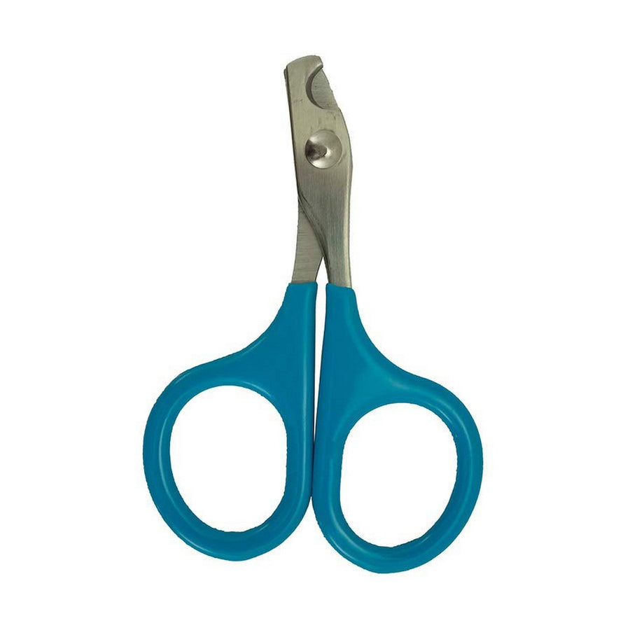 V8HFF2C95038113AEDC621CB2995AB84781R5157263P1