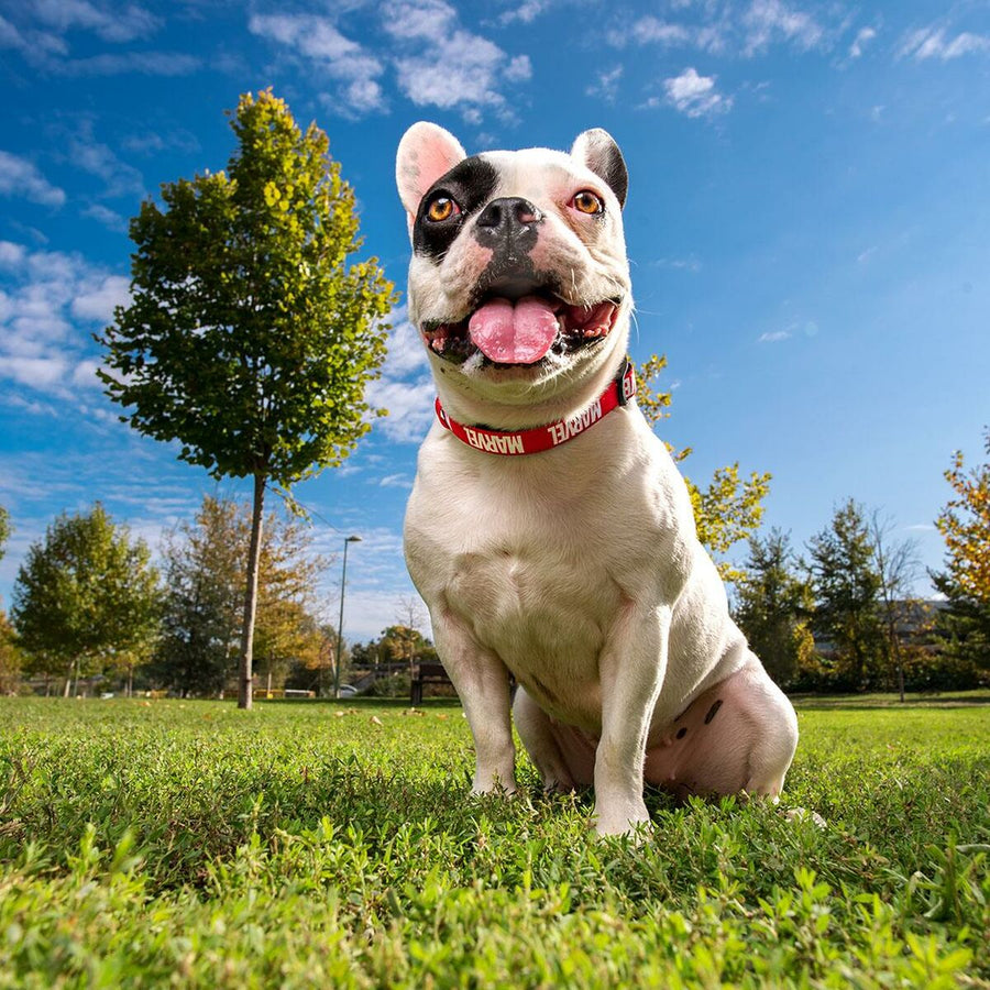 V4HAFEFB58376E0877386C85C8201EB2320R4644449P5