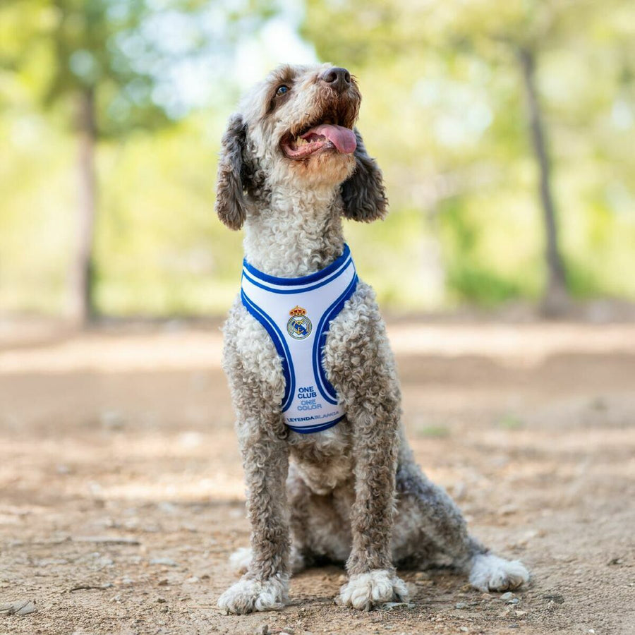 V2H121E67662F3F91EAF11F64CD77A998F3R7164315P4