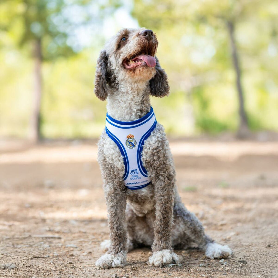 V2HB89E3B49CA9F025B48DB24DF458FECBFR7186626P9