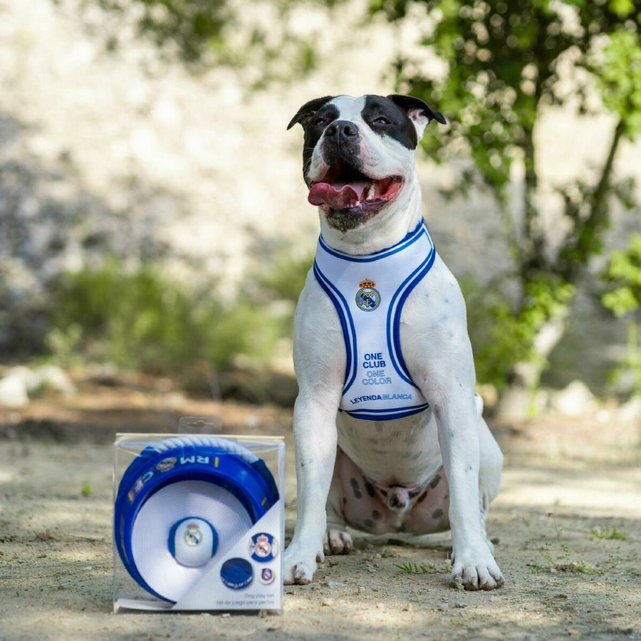 V2H677B3ED1606F718282CC5148C7E44658R7026791P3