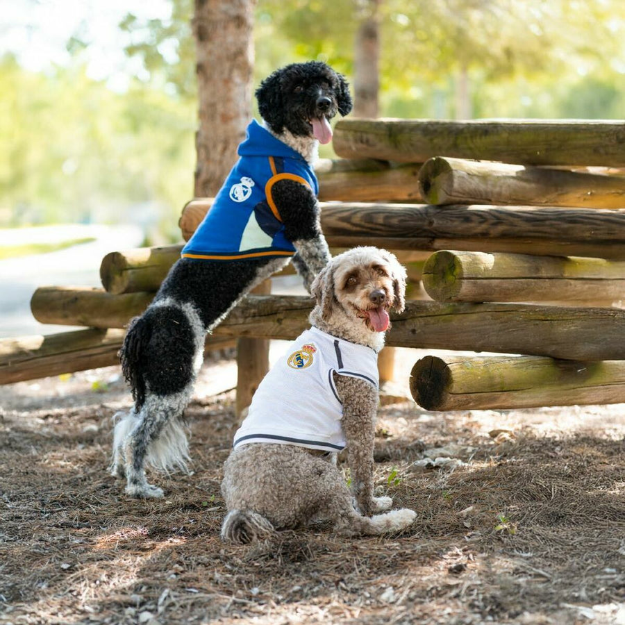 V2HC136DAF91E753A3E25A8338B4B00FCB9R7069166P4