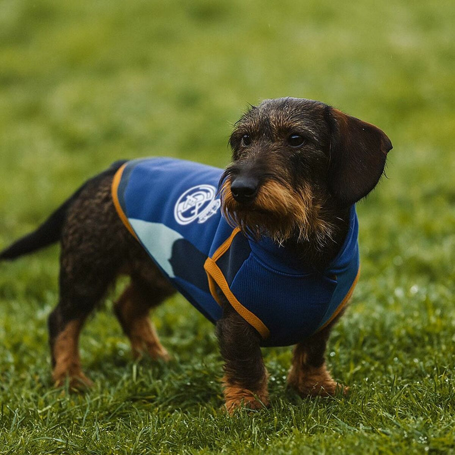 V3HB7BF592EE21F4A062CE59919E59C6E8FR6351887P9