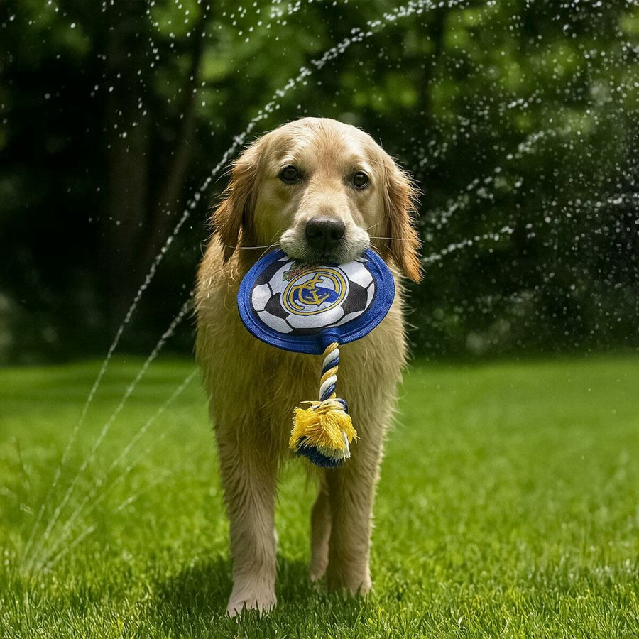 V2HB046DBF054DF10B3DE766D530D17BD54R6939311P9