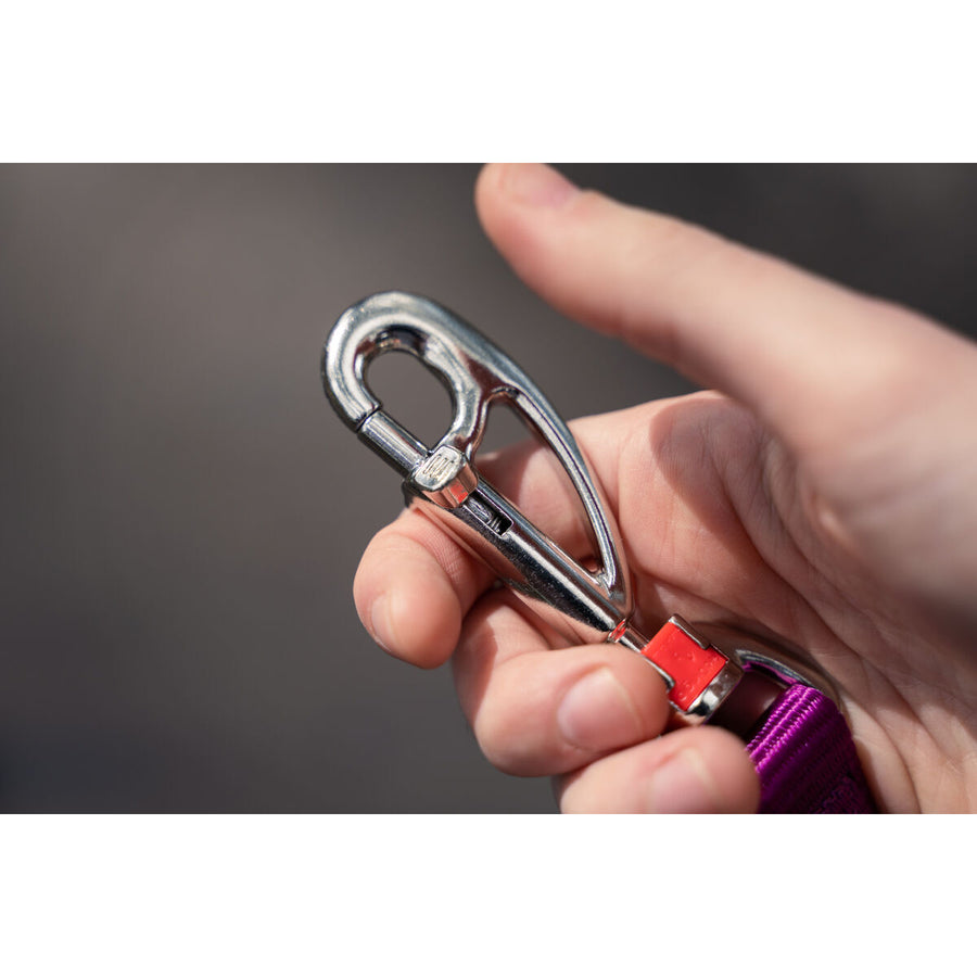 V6H3ABCE68A455D9A805B99CB86B3117AB9R3627658P4