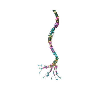 V5HBF1FE3811BB8378436128F0E02C70768R6263266P1