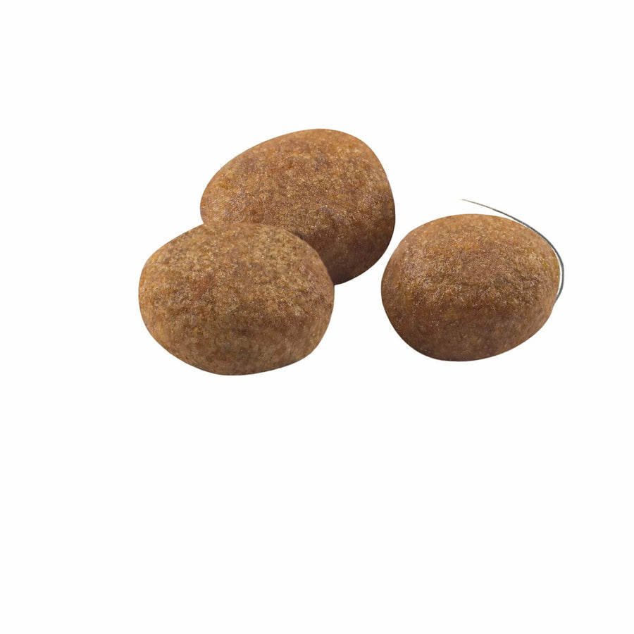 V7H7BB86AA69577EAD949359E157001D2FER3587188P2