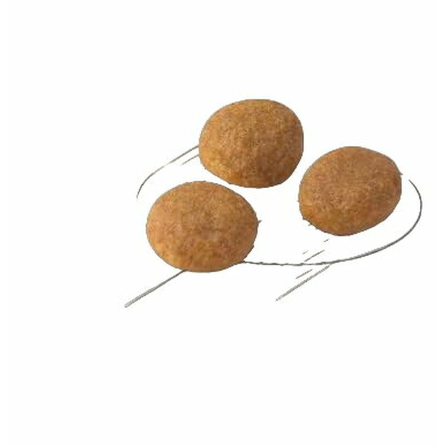 V7HA9E8EAE2942ACFE21A16DA0156D74760R4989245P3