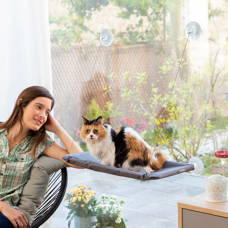 V12HCB07521C75C8D0FB33FD62EADF925705R5277795P2